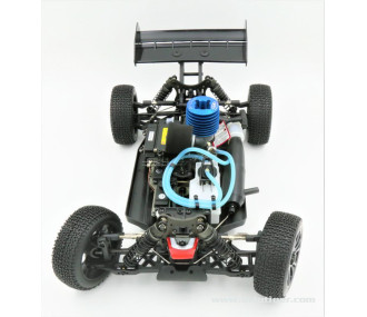 Blackbull BULL SPORT 1/8 NITRO