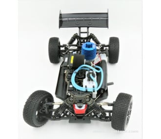 BULL SPORT 1/8 NITRO