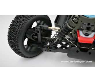 Blackbull BULL SPORT 1/8 NITRO