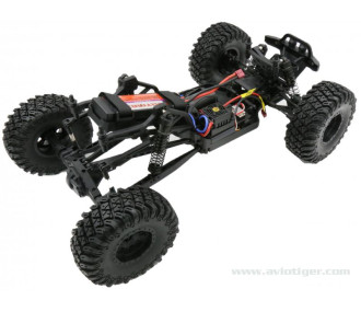 DESERT BULL 1/8 EP BRUSHLESS