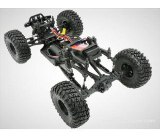 DESERT BULL 1/8 EP BRUSHLESS