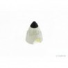 White plastic cone dia.40mm - KAVAN